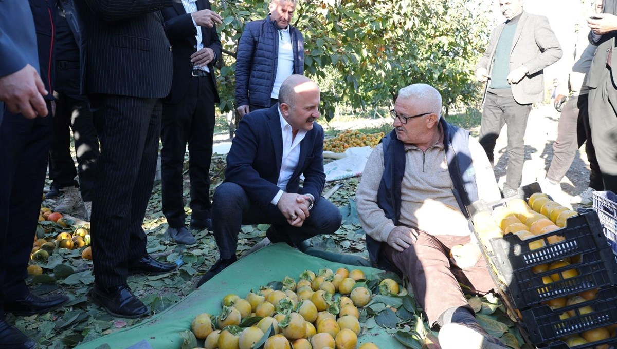 7 bin dekarlık alanda 13 bin ton elde edildi: Tarlada 15-20 lira arasında satılıyor