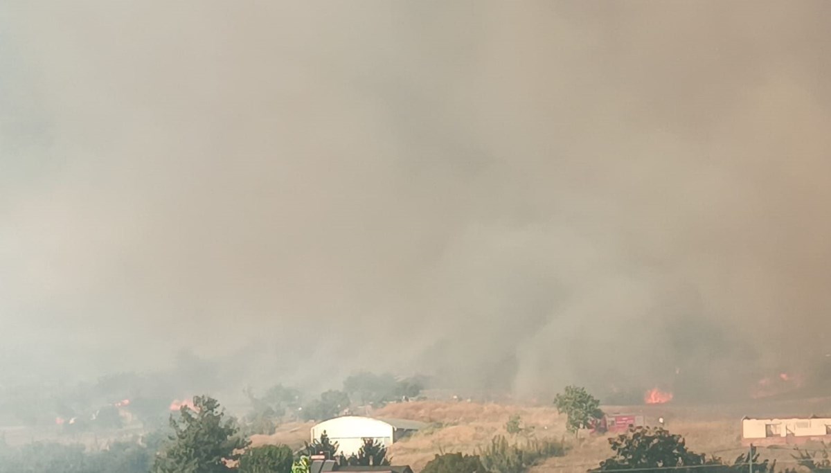 Bursa'da çıkan orman yangınına müdahale ediliyor