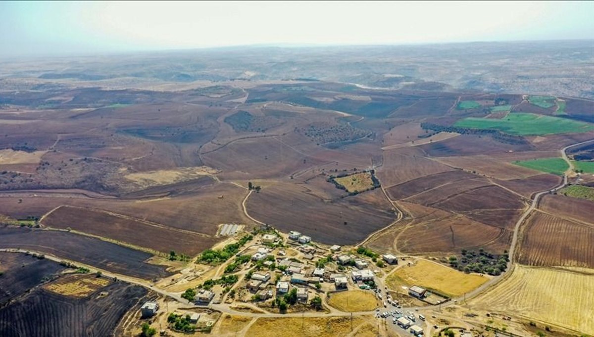 Diyarbakır ve Mardin'deki yangın bölgeleri afet bölgesi ilan edildi