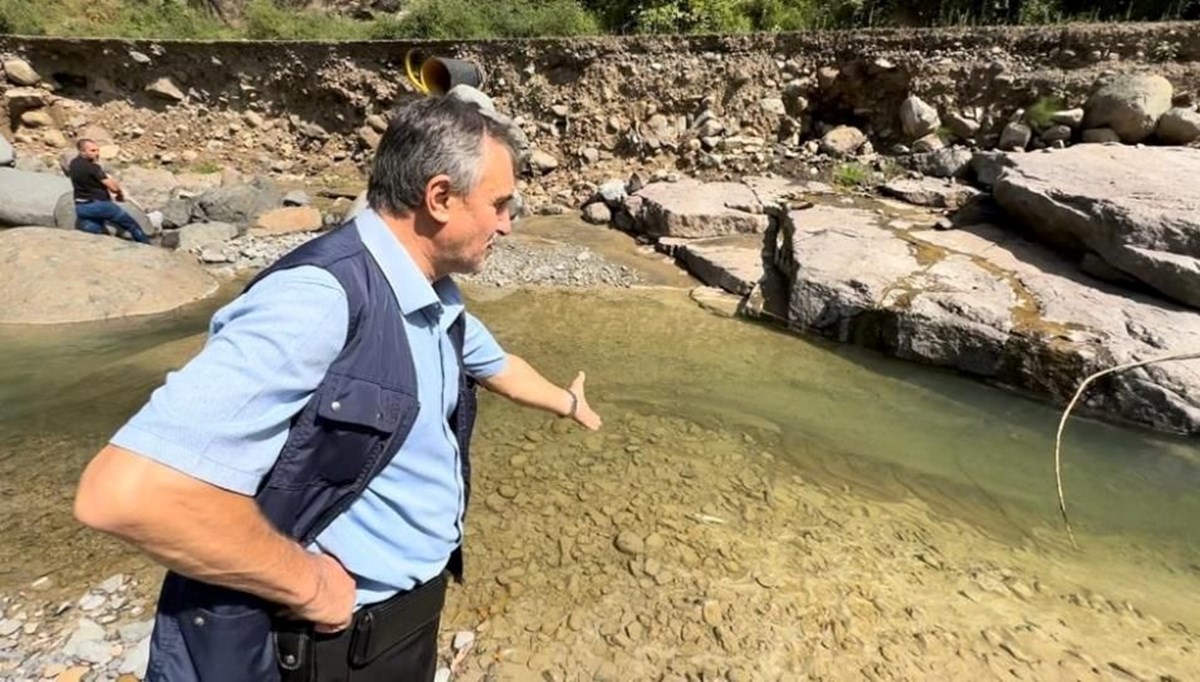 Çimento suya karıştı, binlerce balık öldü