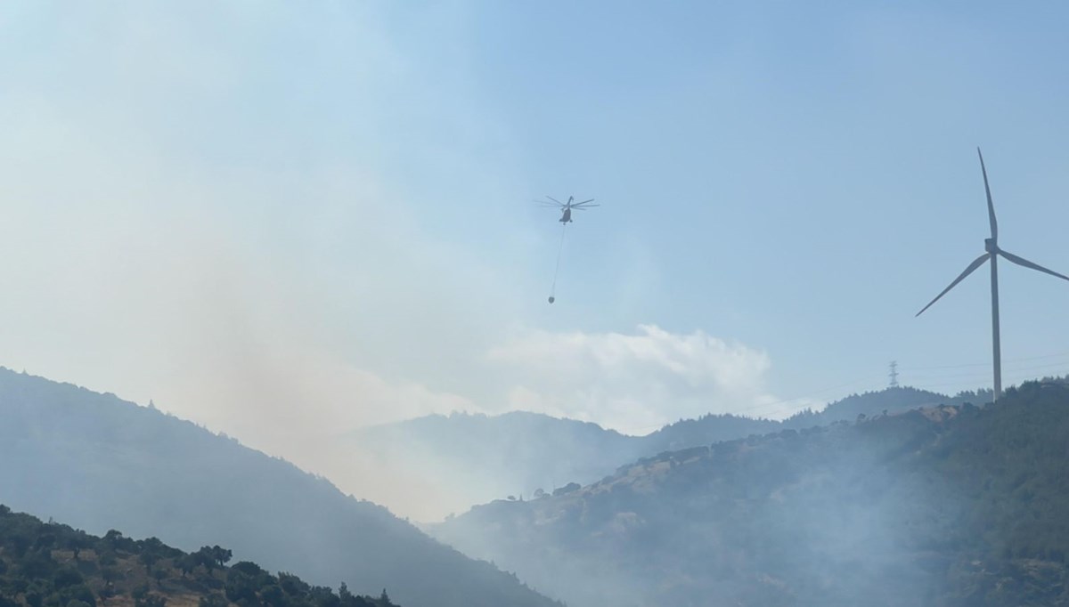 Hatay'da orman yangını