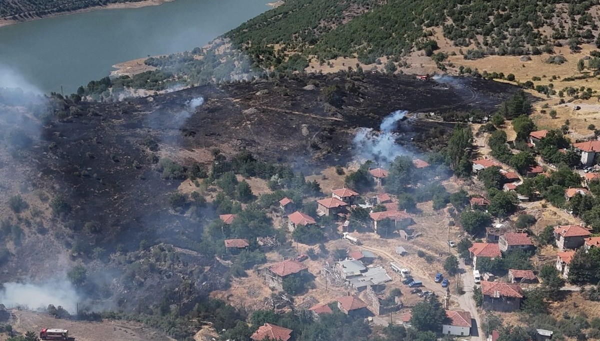 Ankara'daki yangında 10 hektar alan zarar gördü