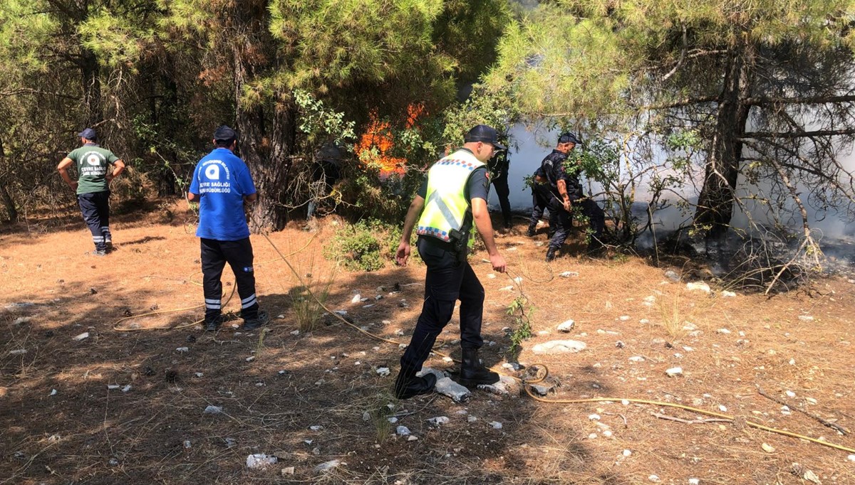 Antalya'da ormanlık alanda çıkan yangın söndürüldü