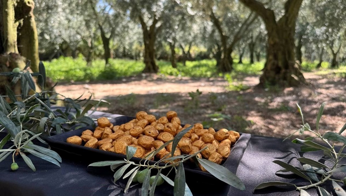 Altın kaplamalı zeytin görenleri şaşırtıyor! Bir kutusunun fiyatı dudak uçuklatıyor