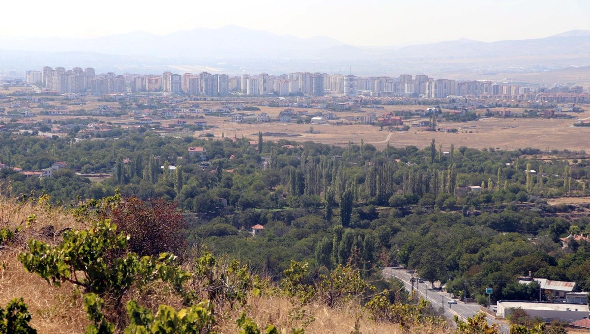 Türkülere konu olan Gesi bağları yok oluyor