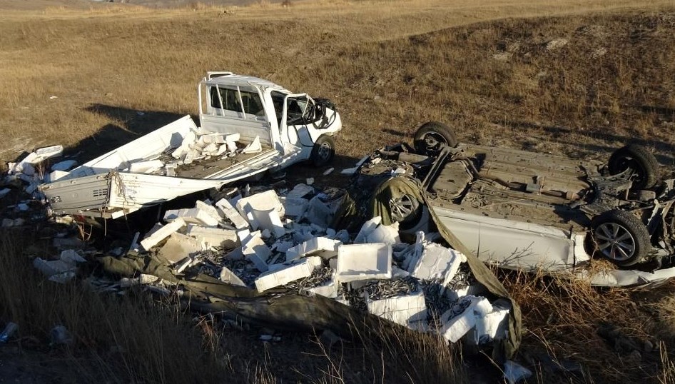 Erzurum'da kamyonet kaza yaptı, balıklar yola saçıldı