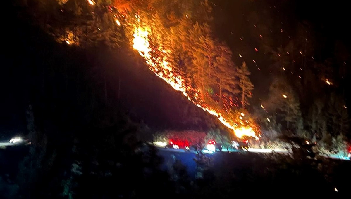 Alanya'da orman yangını