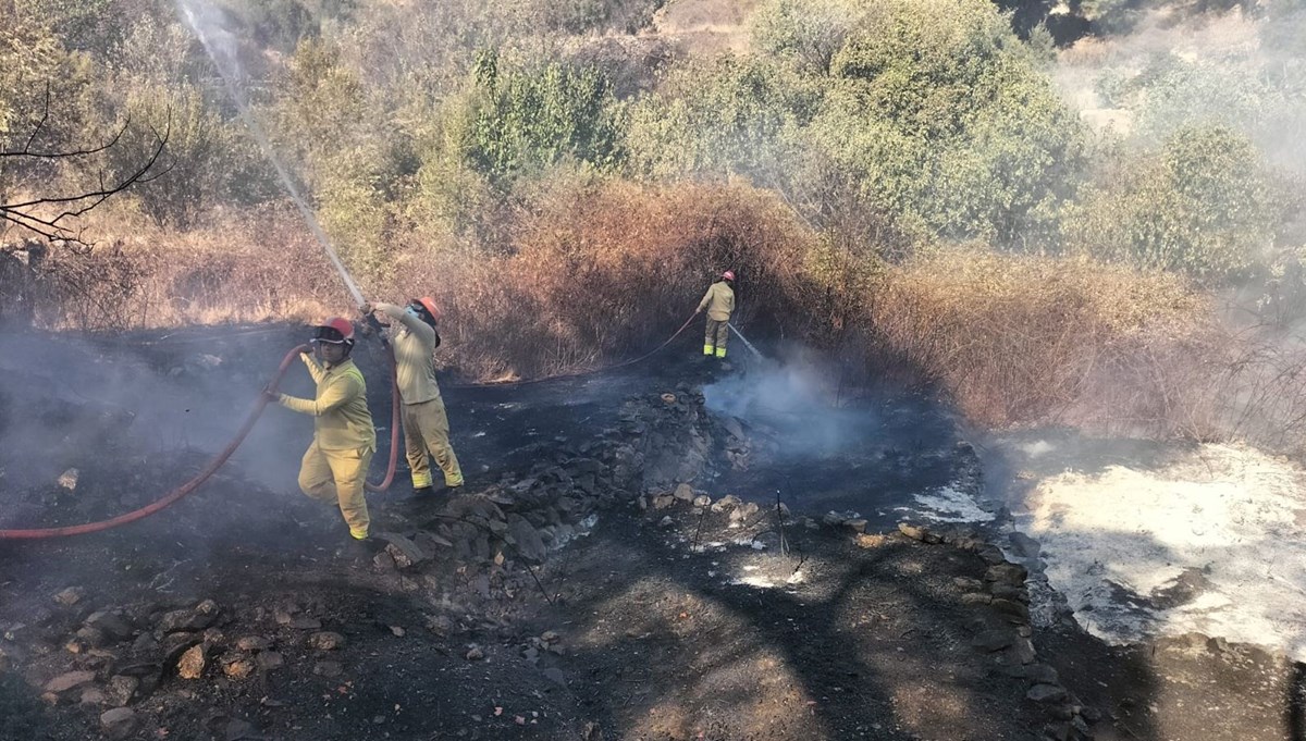 Mersin'in Anamur ilçesinde çıkan yangın kontrol altına alındı