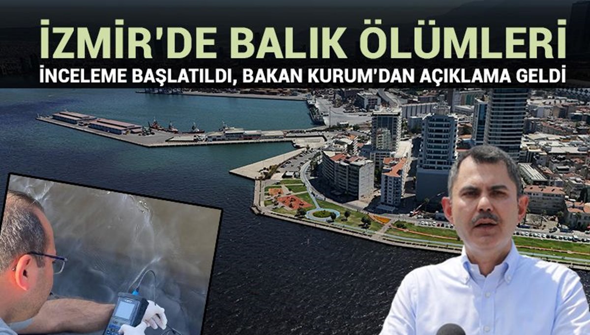 Bakanlık'tan İzmir Körfezi'ndeki balık ölümlerine ilişkin inceleme