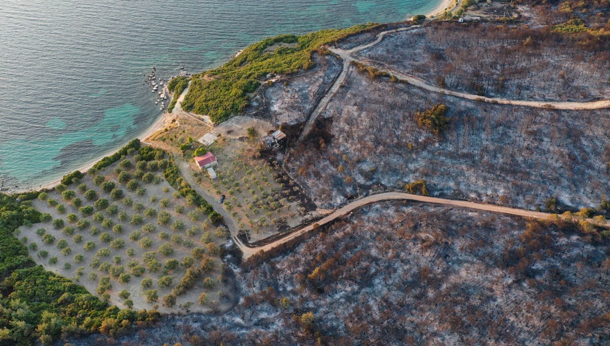 İzmir'deki orman yangınında can kaybı