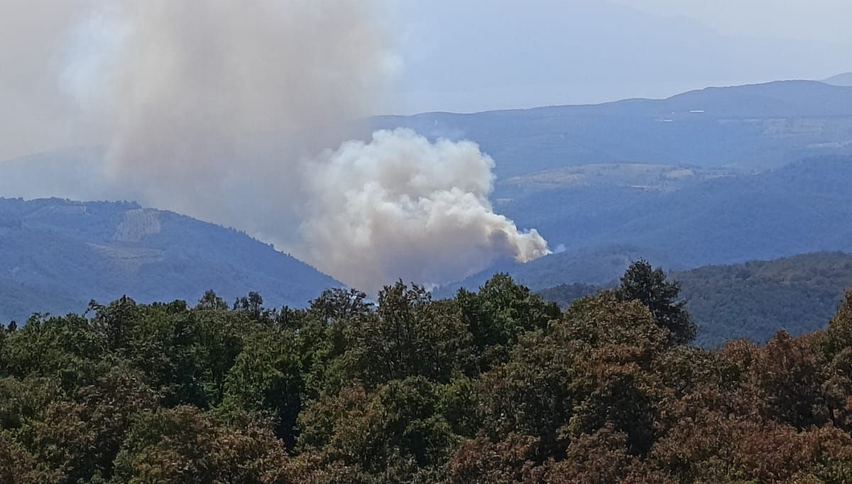 Bursa'da orman yangını: Ekipler müdahale ediyor