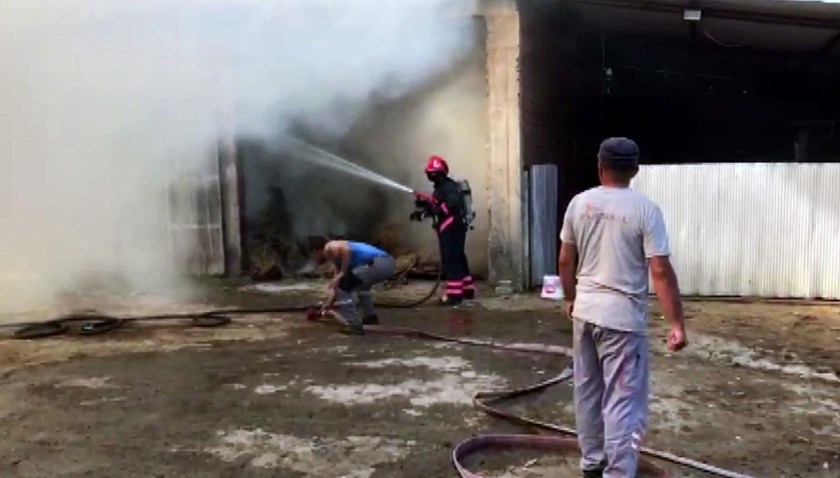 Sakarya'da 2 ahır ve 2 samanlık alevlere teslim oldu: 1 yaralı