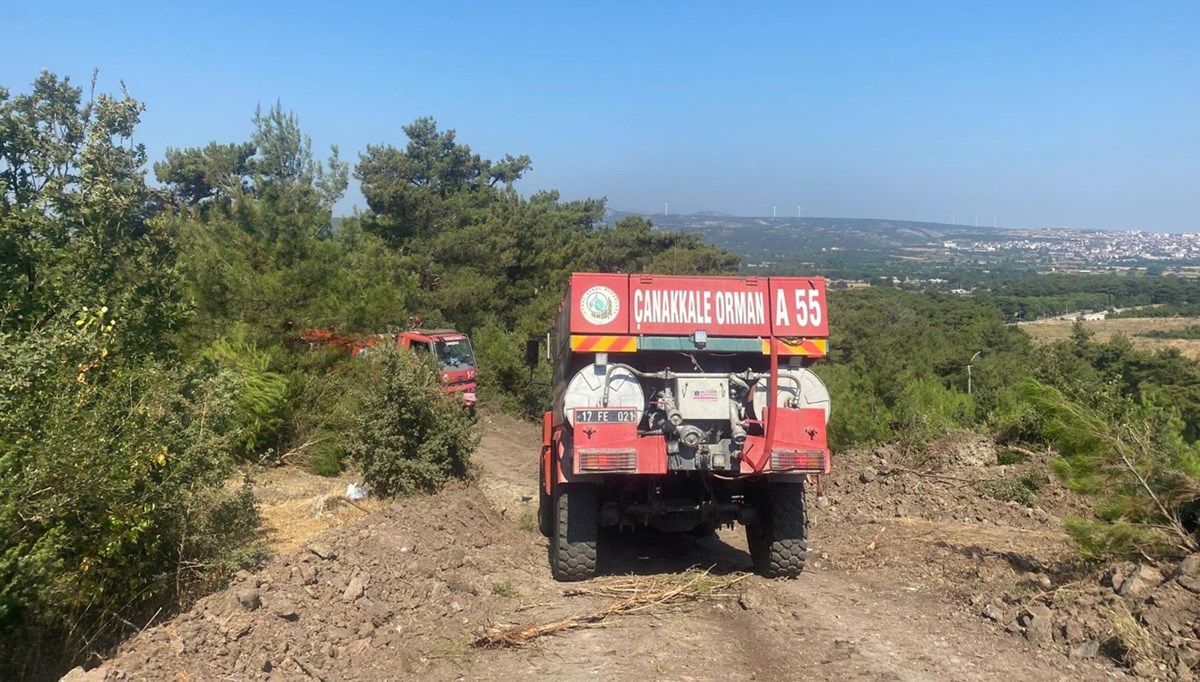 Alevlerle mücadele sürüyor: Çanakkale ve Antalya'da orman yangını