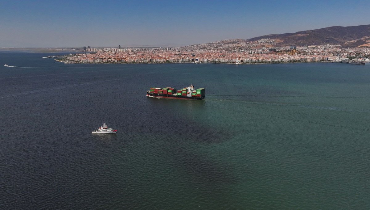 Körfezin bir bölümü yeşile büründü: İzmir Körfezi’ndeki ölümlere ayrıntılı inceleme