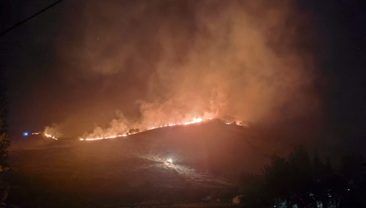 Hatay'da orman yangını