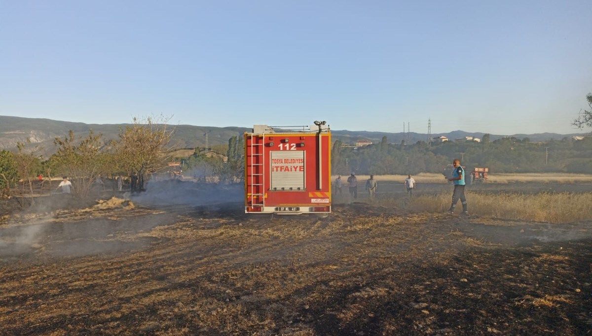 Kastamonu'da anız yangını: 4 dönüm tarla zarar gördü